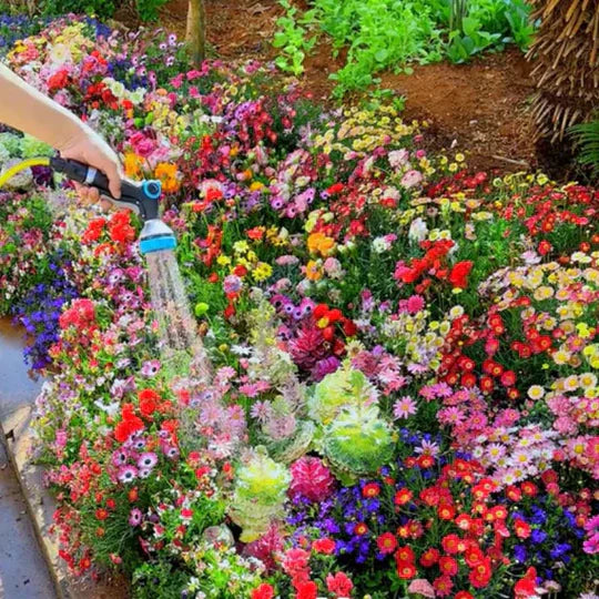 Ensigo za Wildflower – YN